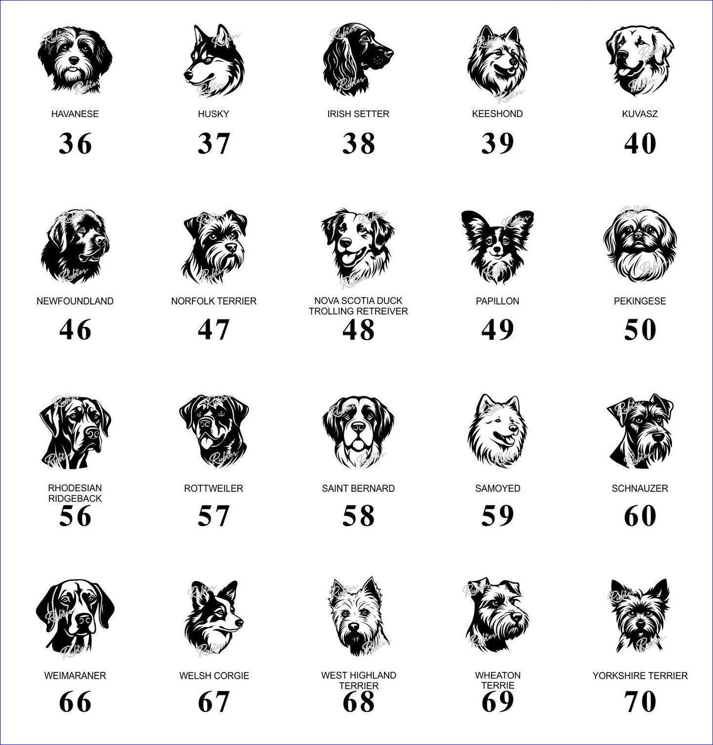 Dog – Image Library (Not a Product)