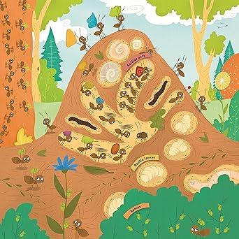 Anthill – Interactive Board Book with Cutouts & Shapes