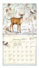 Lang Calender 2027 "Field Guide"