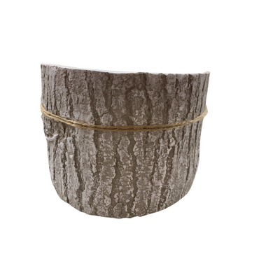 Candle in Birch Log