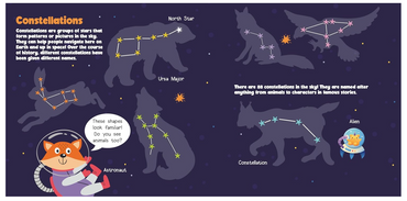 Plants and Stars – Interactive Board Book with Flaps