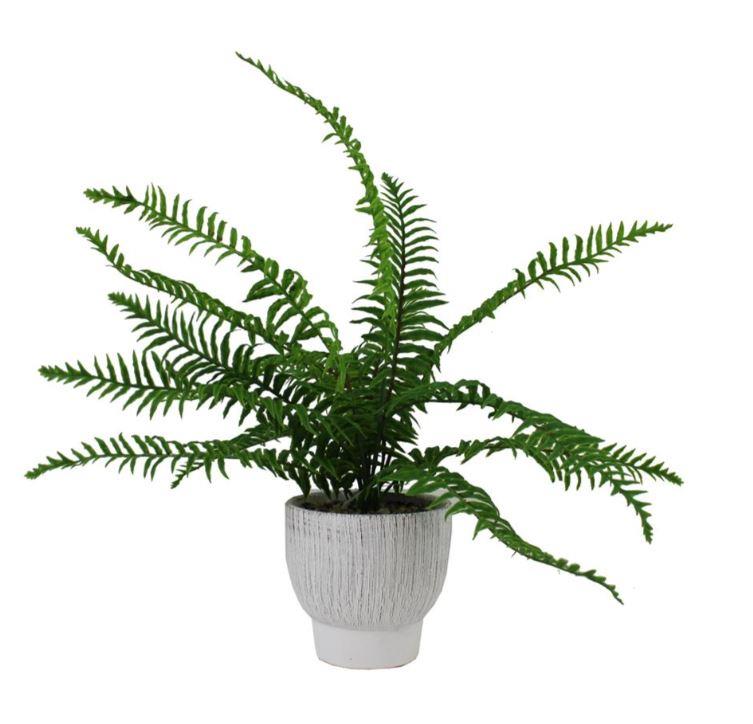 Faux Fern in Cement Pot