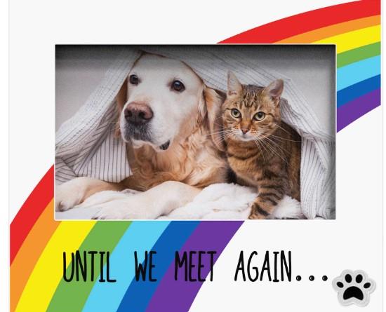 Pet frame with rainbow