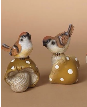 Bird on Mushroom