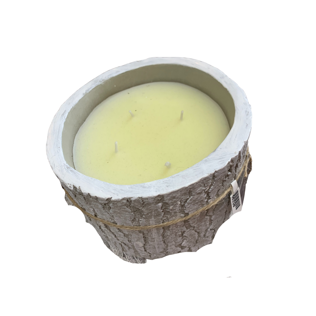 Candle in Birch Log