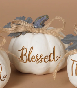 Pumpkin Blessed
