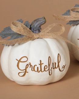 Pumpkin Grateful