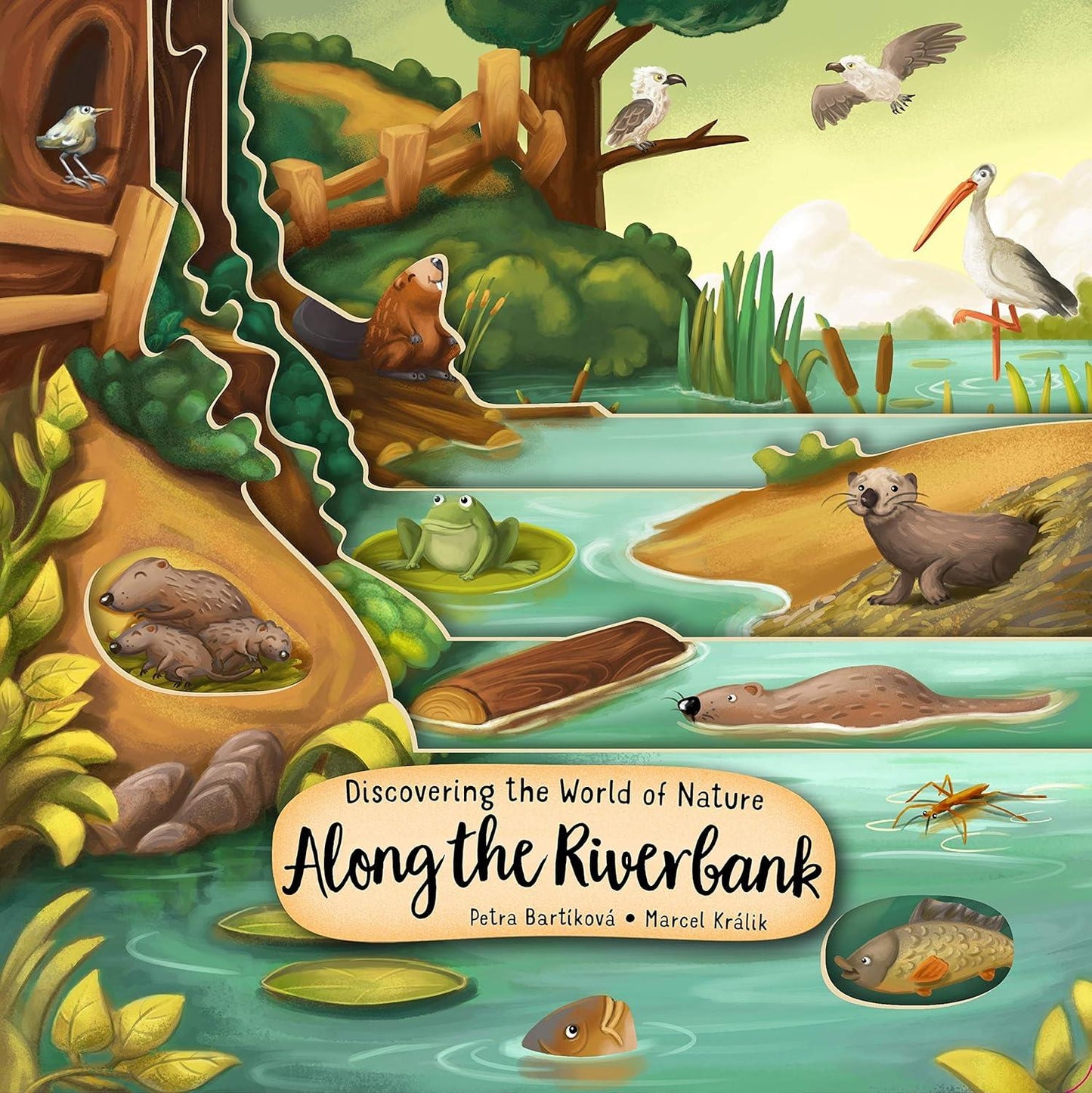 Nature Along the Riverbank – Interactive Board Book