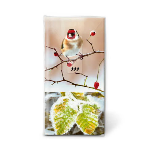 Designer Facial Tissues – Winter Bird