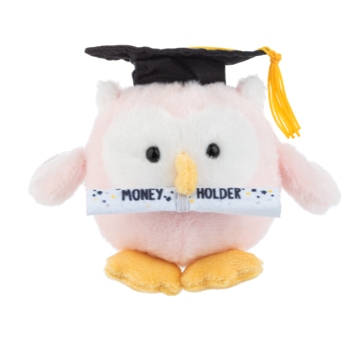 Plush Pink Owl Graduation Keepsake – Holds Money