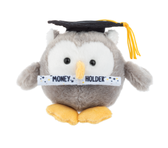 Plush Grey Owl Graduation Keepsake – Holds Money