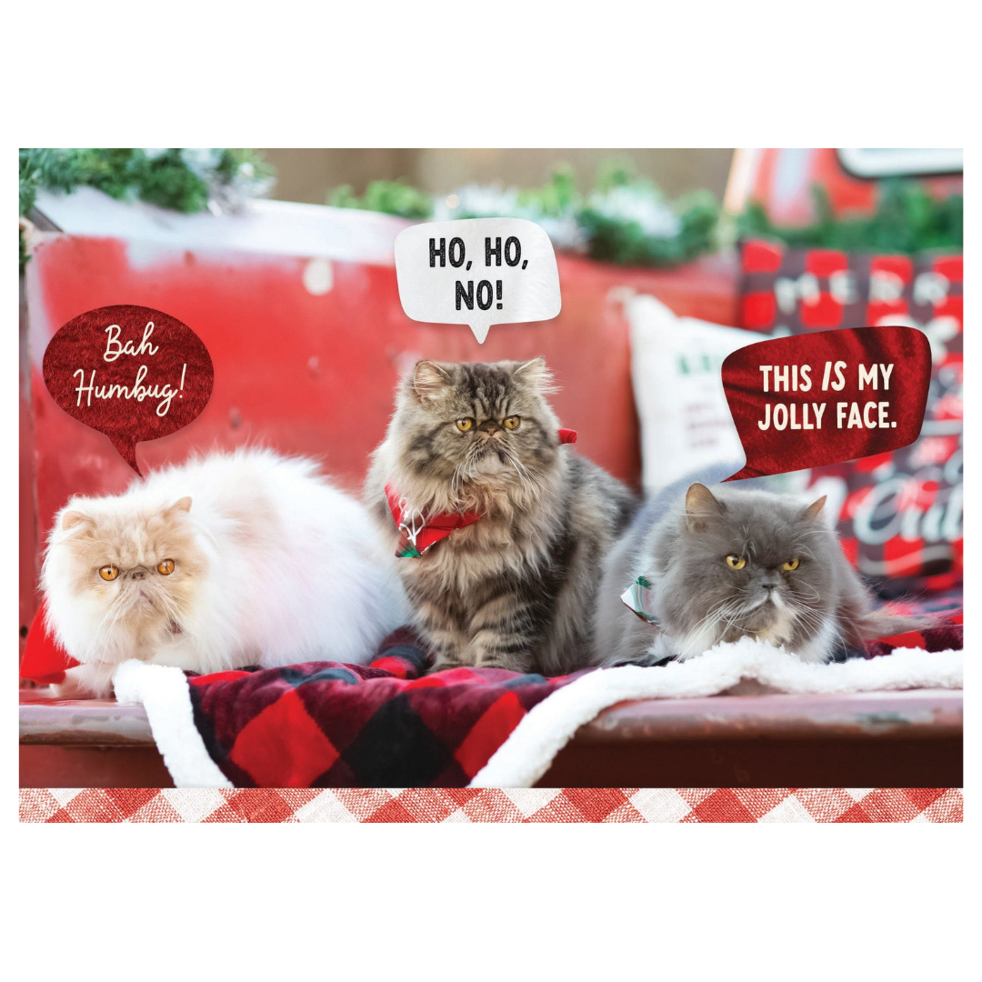 Grumpy Cats Christmas Card