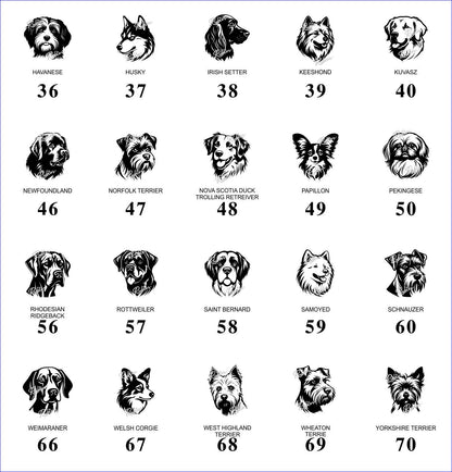 Dog – Image Library (Not a Product)