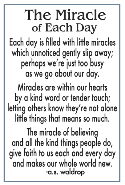 Butterfly Pocket Coin