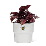 Large Rimmed Bee Planter