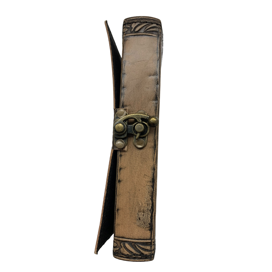 Journal - Turtle