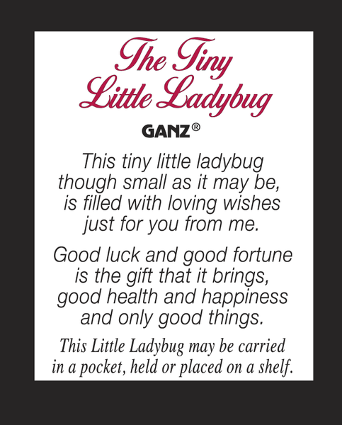 Tiny Glass Ladybug Pocket Token with Poem
