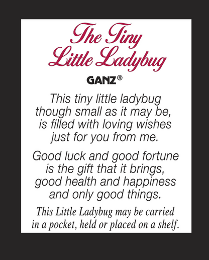 Tiny Glass Ladybug Pocket Token with Poem