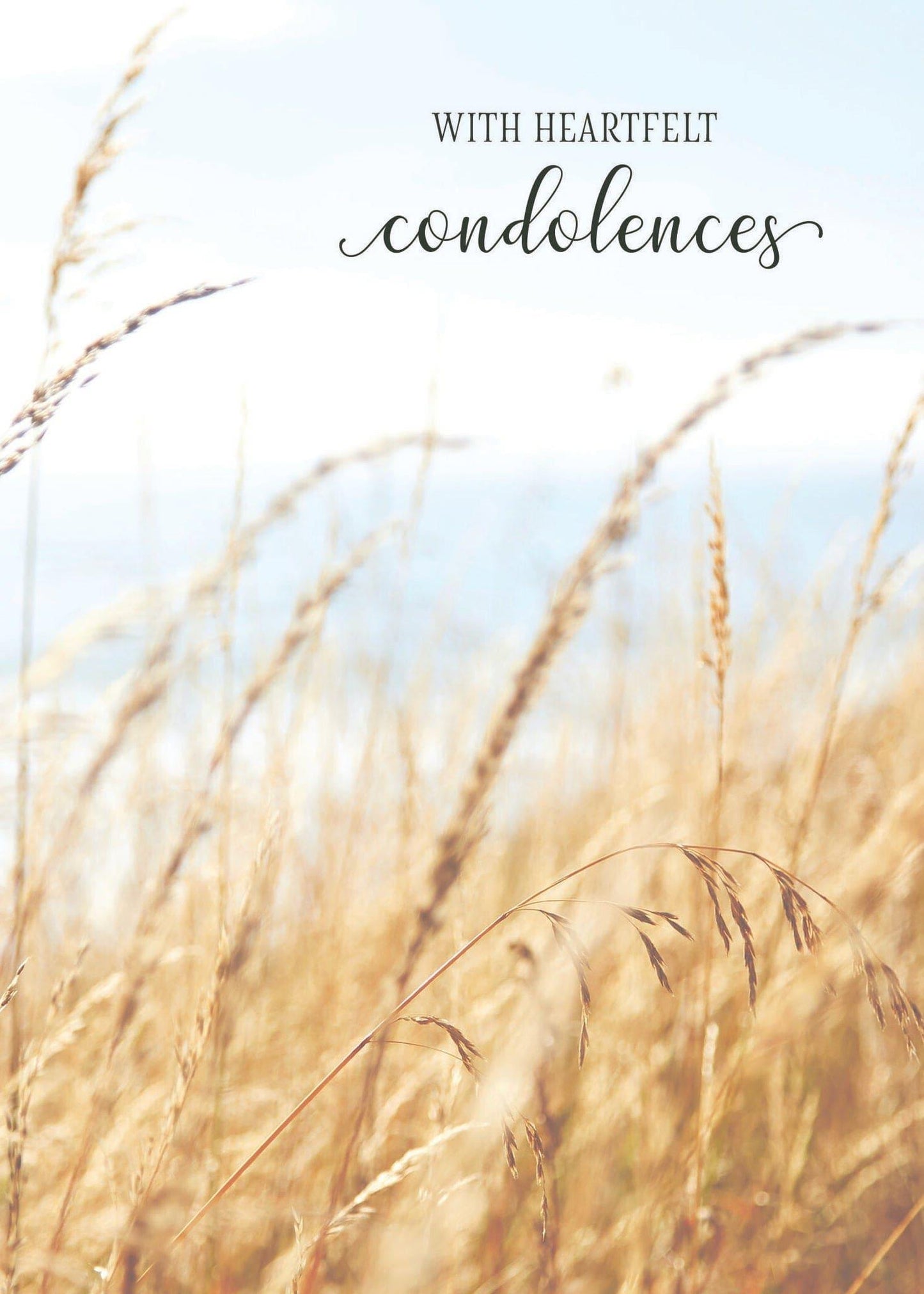 Wheat Grass Sympathy Card