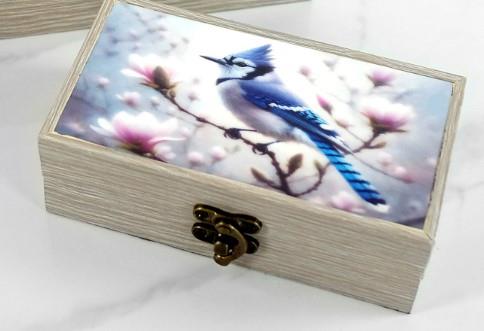 Blue Jay Box