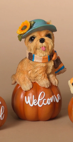 Welcome Dog On Pumpkin