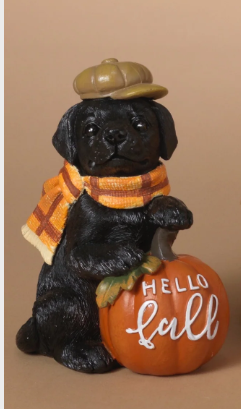 Hello Fall Dog