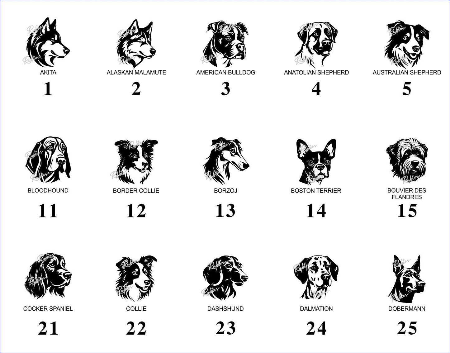 Dog – Image Library (Not a Product)