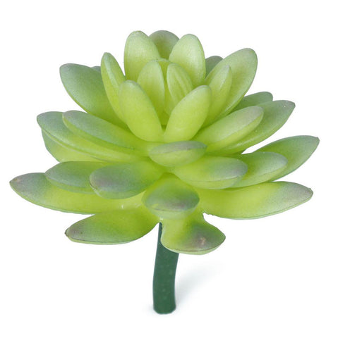 Succulent, Artificial 5.5”