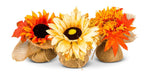 Fall flower
